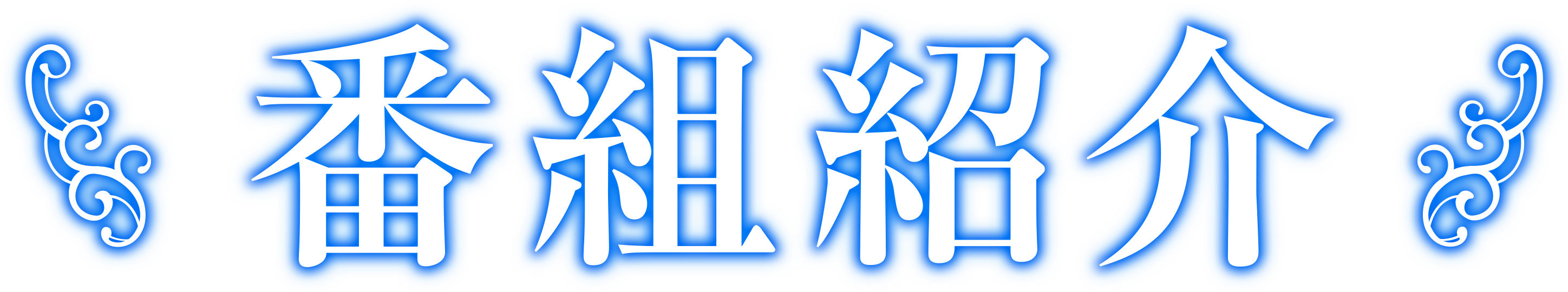 番組内容